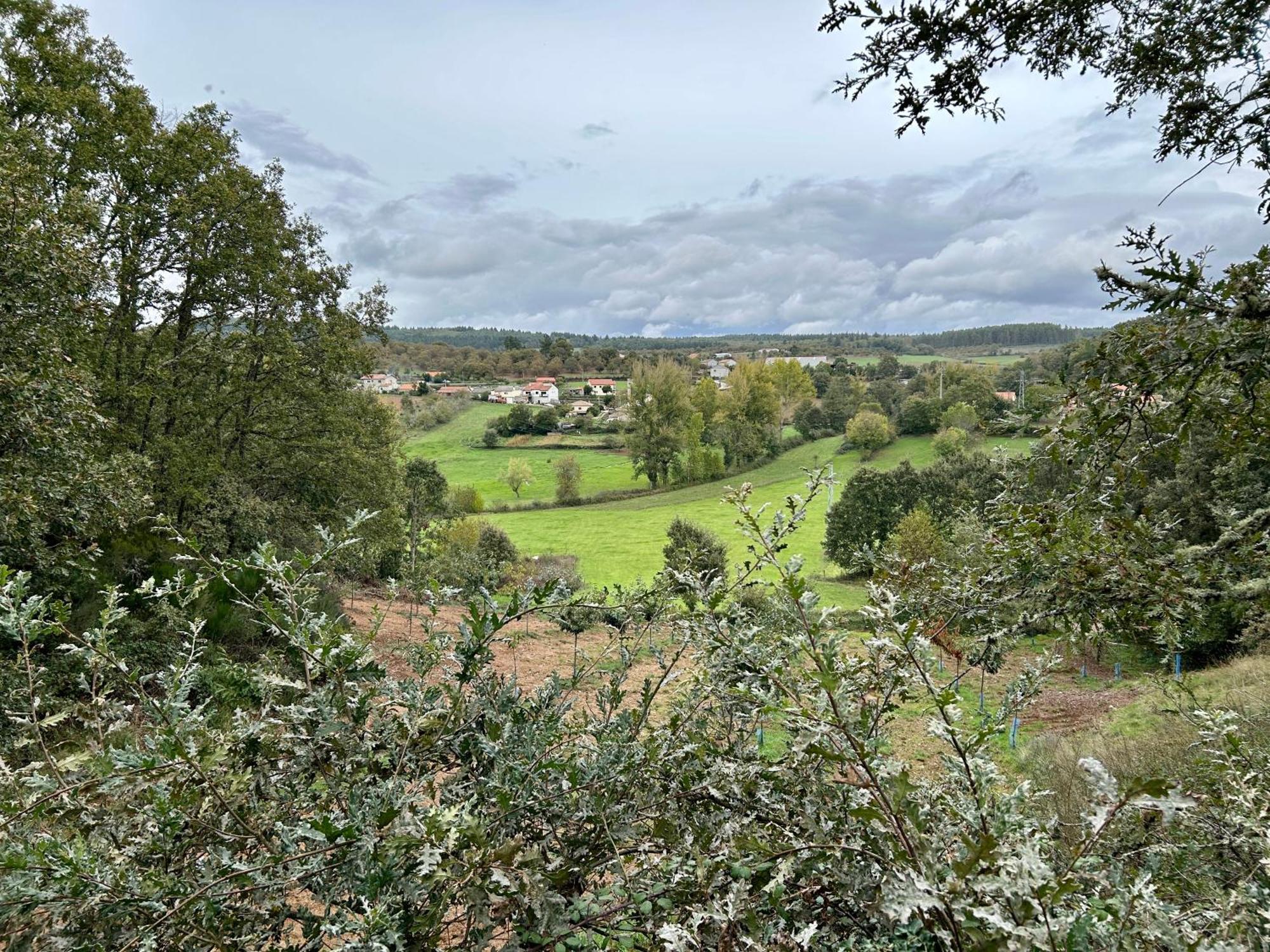 Casa Do Souto - Nature & Experiences - Turismo Rural Braganca Bagian luar foto
