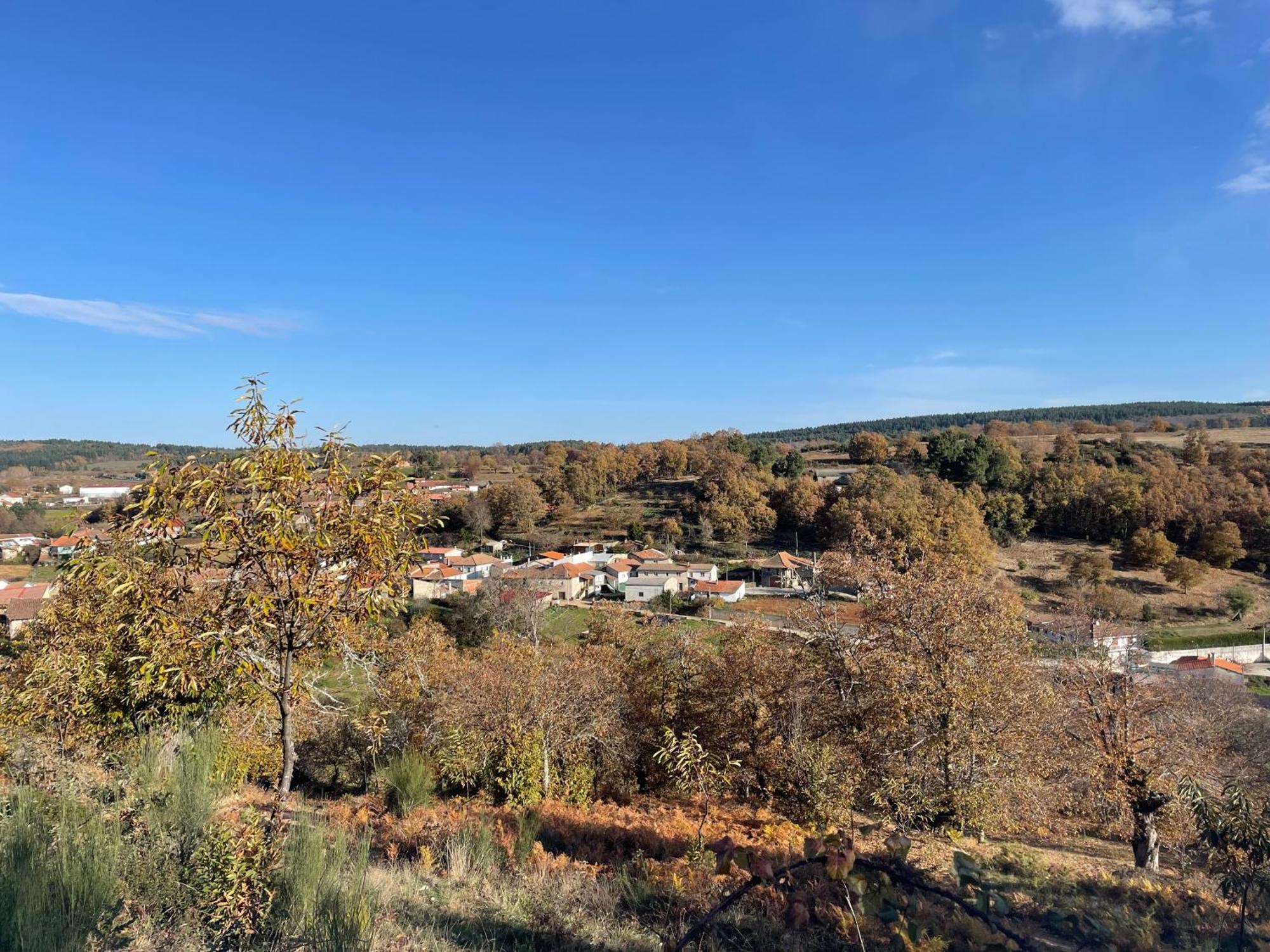 Casa Do Souto - Nature & Experiences - Turismo Rural Braganca Bagian luar foto